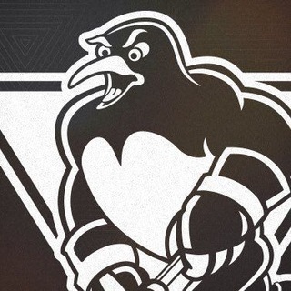 Telegram profile photo for Wilkes-Barre/Scranton-Penguins