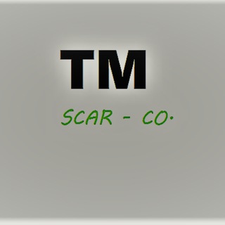 Telegram profile photo for ممبر فیک ممبر تبلیغات ممبر واقعی سین سین رایگان scar tm