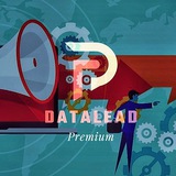 Telegram profile photo for DATALEAD Premium