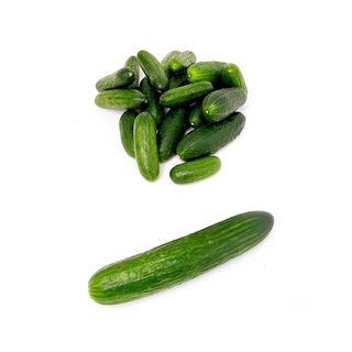 Telegram profile photo for 🥒🙋🏻♂️ / огуречные авторы
