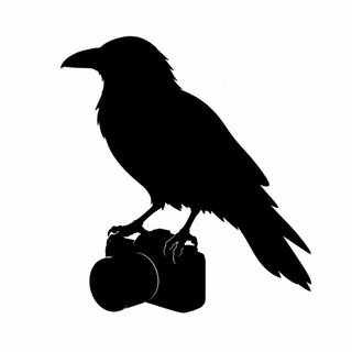 Telegram profile photo for Ворон с камерой