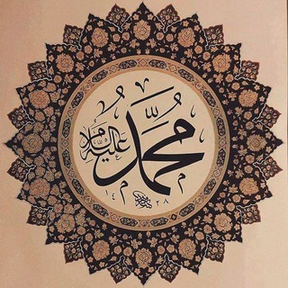 Telegram profile photo for قناة || محمد محمود فكري