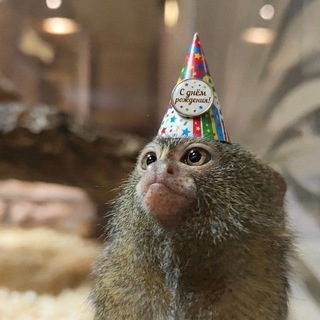 Telegram profile photo for горячая самса с ван юай