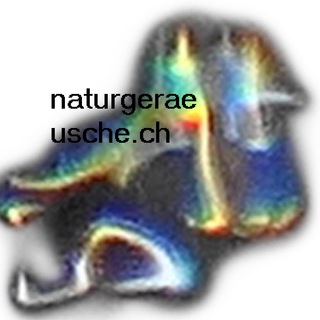 Telegram profile photo for NATURGERÄUSCHE