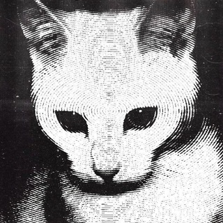 Telegram profile photo for Tetstack