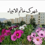 Telegram profile photo for شهرک خاتم الانبیاء (ص)