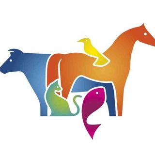Telegram profile photo for کانال حیوانات بردسکن و حومه