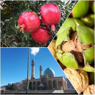 Telegram profile photo for خبر شهرستان مهدیشهر