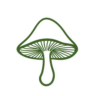 Telegram profile photo for jsq水群专用