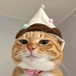 Telegram profile photo for ODET PRICE LIST