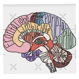 Telegram profile photo for Med notes 🩺