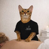 Telegram profile photo for ВИНОГРАД ТУДЭЙ