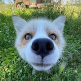 Telegram profile photo for Путь Майпа 🥋