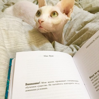 Telegram profile photo for Читать и читать