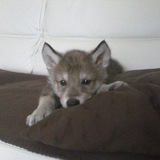 Telegram profile photo for в конце концов все останутся бещ денег