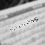 Telegram profile photo for علامات اليونسيون ♥
