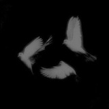 Telegram profile photo for Прайс • by @fuckrynix