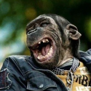 Telegram profile photo for Смешные видео и мемы