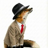 Telegram profile photo for Pirozxhok | ТГК