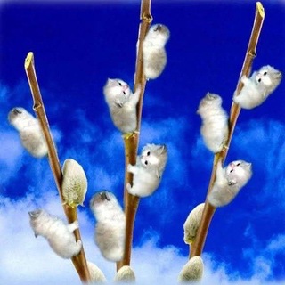 Telegram profile photo for свалка