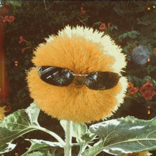 Telegram profile photo for Подсолнуховая долина🌻