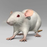 Telegram profile photo for Лариса