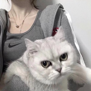Telegram profile photo for 可可心情館