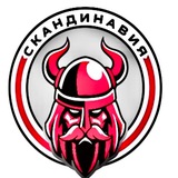 Telegram profile photo for Skandinaviya mems
