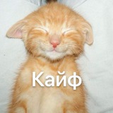 Telegram profile photo for PAKAZ 2.0