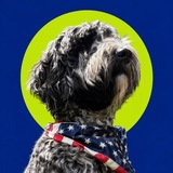 Telegram profile photo for Benny | The Face of Meta
