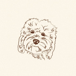 Telegram profile photo for Mio Mia pet-shop