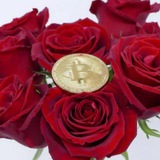 Telegram profile photo for Rose Premium Signals - Trial Channel
