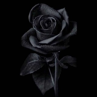 Telegram profile photo for مذكرات