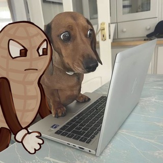 Telegram profile photo for Але дада Кортя