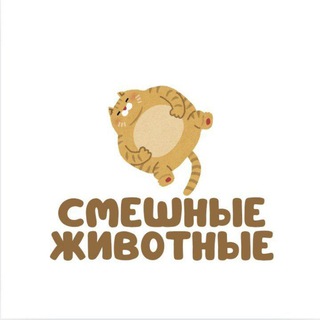 Telegram profile photo for Смешные животные