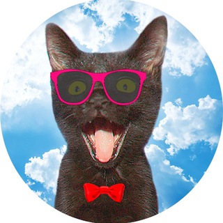 Telegram profile photo for SANISHOW