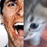 Telegram profile photo for Факин щит