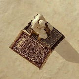 Telegram profile photo for عَبْدُ اللهِ مالِكٌ ـَ🍂