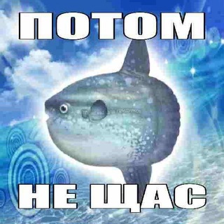 Telegram profile photo for æ