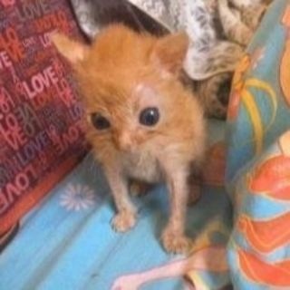 Telegram profile photo for Ⲱⲃⲉⲇⲥⲕυύ Ⲣⲁⲥⲡυⳅⲇяύ холодный уже 2 часа