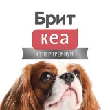 Telegram profile photo for Брит Кеа | Корм для собак и кошек