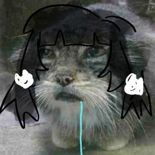 Telegram profile photo for nokoriga