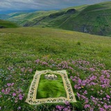 Telegram profile photo for قنواتنا؛
