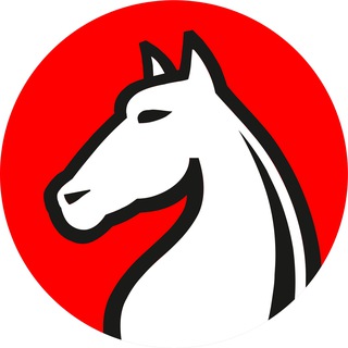 Telegram profile photo for City Chess