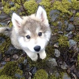 Telegram profile photo for Eɴᴅᴇʀ ɪɴ Wᴏɴᴅᴇʀʟᴀɴᴅ