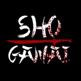 Telegram profile photo for shō:gᴀnᴀi`°🪭'`⊹BLOG