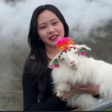 Telegram profile photo for 小牛队-{旧GV-SL-旧TN-ID}- (Nextdoor-Linkedin-Ring4)🔥购物商店 {小贩}