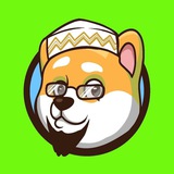 Telegram profile photo for Islamic Doge - Official Channel
