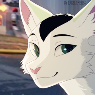 Telegram profile photo for Fearann Nik