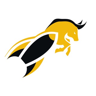 Telegram profile photo for Bull Launch Pad